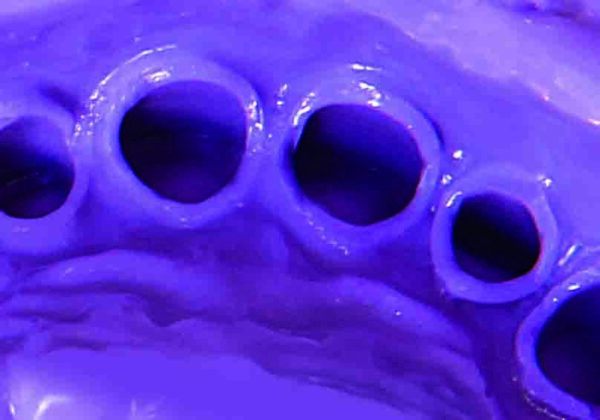 Silicona por Condensación Liviana - Silaxil - Imagen 3