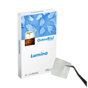 Lámina Rígida